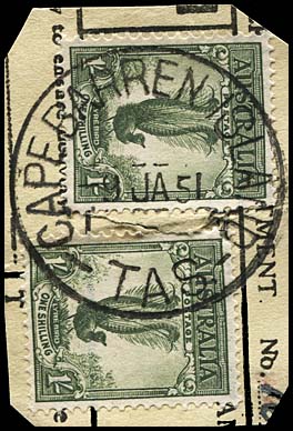 Cape B 1951